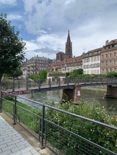 Profile photo of Tom Dittrich, undefined tutor at Wiingy