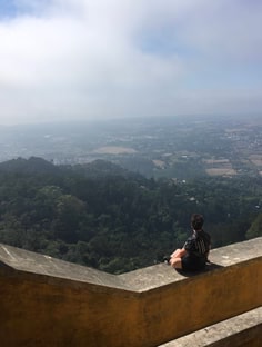 Profile photo of Rosa Mancuso, undefined tutor at Wiingy