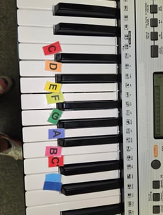 Profile photo of Elena Samaniego, undefined tutor at Wiingy