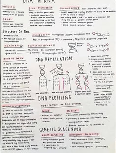 Profile photo of Blaine Abegaz, undefined tutor at Wiingy