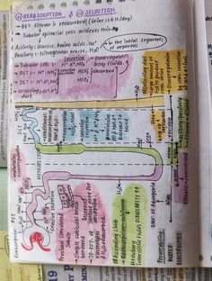 Profile photo of Noor  Aneja, undefined tutor at Wiingy