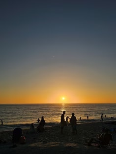 Profile photo of Malcolm Davenis, undefined tutor at Wiingy