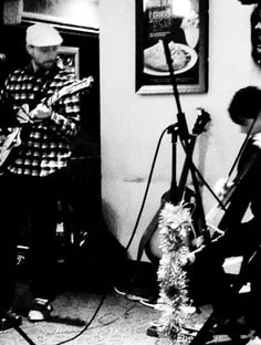 Profile photo of John Burns, undefined tutor at Wiingy