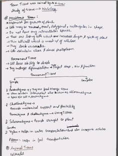 Profile photo of Priyanka  Kumari, undefined tutor at Wiingy