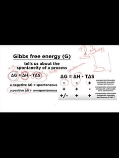 Profile photo of Gunjit Maan, undefined tutor at Wiingy