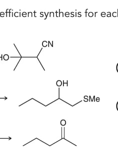 Profile photo of Robert Motter, undefined tutor at Wiingy