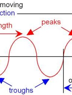 Profile photo of nithya saiprasad, undefined tutor at Wiingy