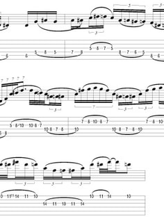 Profile photo of Nikk Palumbo, undefined tutor at Wiingy