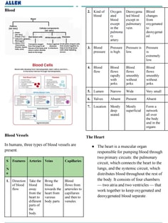 Profile photo of Gracy  Kakkar, undefined tutor at Wiingy