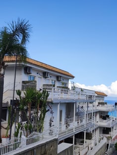 Profile photo of Saida Tucci, undefined tutor at Wiingy