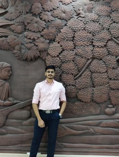 Profile photo of Dr. Animesh Singhai, undefined tutor at Wiingy