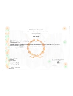 Profile photo of Diana Adisheva, undefined tutor at Wiingy