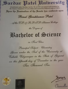 Profile photo of Binal Patel, undefined tutor at Wiingy