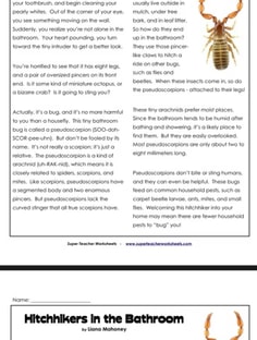 Profile photo of Carlos Zabala, undefined tutor at Wiingy