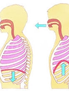 Profile photo of Estefania Dome, undefined tutor at Wiingy