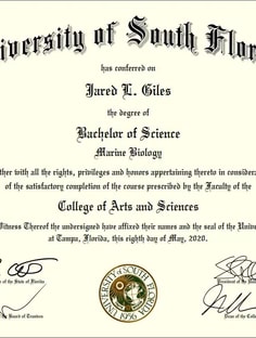 Profile photo of Jared Giles, undefined tutor at Wiingy