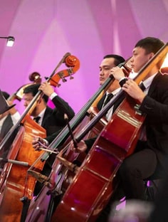 Profile photo of Prince Santiago, undefined tutor at Wiingy