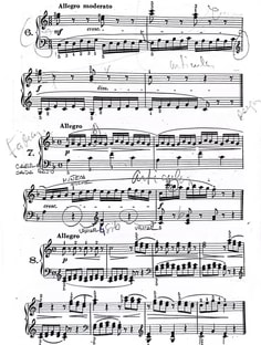 Profile photo of Lautaro  Secilio, undefined tutor at Wiingy