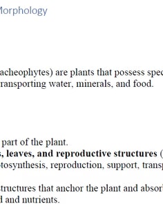 Profile photo of Lipika Lipika, undefined tutor at Wiingy