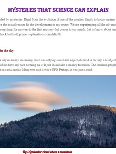 Profile photo of Lipika Lipika, undefined tutor at Wiingy