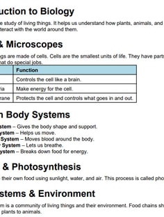 Profile photo of Weena Andres, undefined tutor at Wiingy