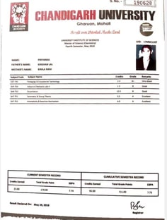 Profile photo of Priyanka Narang, undefined tutor at Wiingy