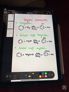 Profile photo of Srishti Arora, undefined tutor at Wiingy