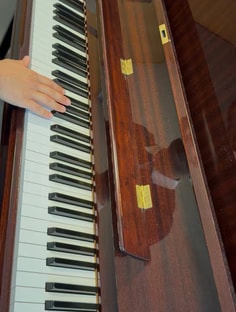 Profile photo of Alireza Hosseinisabet , undefined tutor at Wiingy