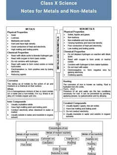 Profile photo of Amisha Gupta, undefined tutor at Wiingy