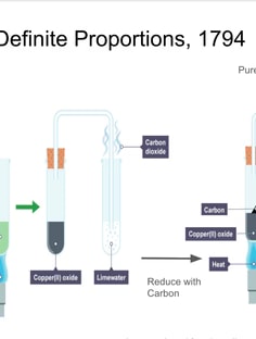 Profile photo of Christen Frei, undefined tutor at Wiingy