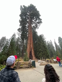 Profile photo of Jose Gonzalez, undefined tutor at Wiingy