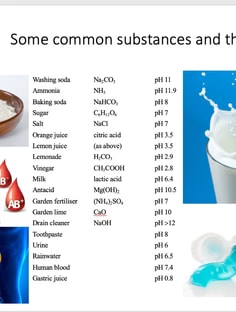 Profile photo of Silky Yadav, undefined tutor at Wiingy