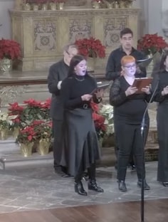 Profile photo of Sarah K Quinn, undefined tutor at Wiingy