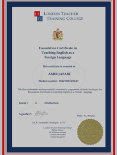 Profile photo of Amir Jafari , undefined tutor at Wiingy