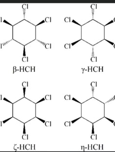 Profile photo of Sravani  Padamata , undefined tutor at Wiingy
