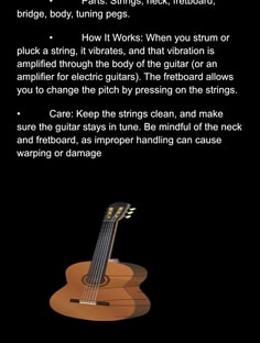 Profile photo of Bailey Osborne, undefined tutor at Wiingy