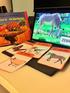 Profile photo of Maria Sobrino Ramos, undefined tutor at Wiingy