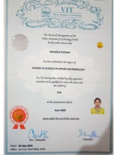 Profile photo of NIHARIKA  PATNAIK, undefined tutor at Wiingy