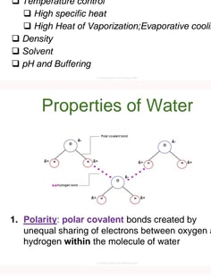 Profile photo of Priyanka Bhat, undefined tutor at Wiingy
