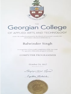Profile photo of Balwinder Singh, undefined tutor at Wiingy
