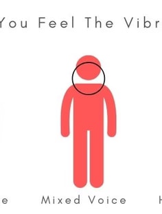 Profile photo of Katie Schram, undefined tutor at Wiingy