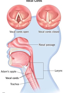 Profile photo of Eugene Griffin, undefined tutor at Wiingy