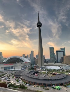 Profile photo of Emanuela Bressan, undefined tutor at Wiingy