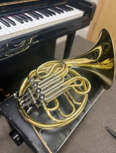 Profile photo of India  Rock, undefined tutor at Wiingy