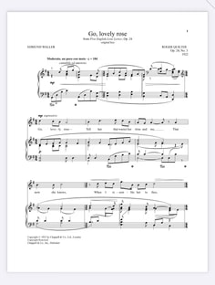 Profile photo of Attila Ledeczky, undefined tutor at Wiingy