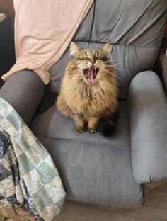 Profile photo of Catherine Terrett, undefined tutor at Wiingy