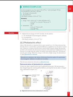Profile photo of PRINCE  RAI, undefined tutor at Wiingy