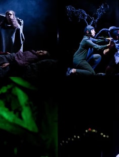 Profile photo of Beatriz  Volante, undefined tutor at Wiingy