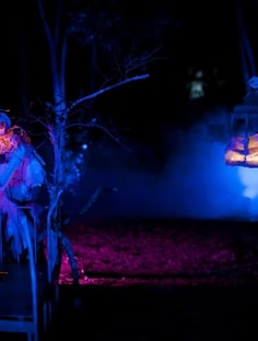 Profile photo of Beatriz  Volante, undefined tutor at Wiingy