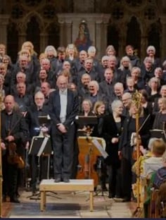 Profile photo of Beatriz  Volante, undefined tutor at Wiingy